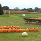 Walker Farm photo