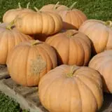 Walker Farm photo