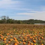 Walker Farm photo
