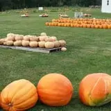 Walker Farm photo