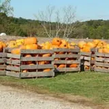 Walker Farm photo