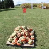 Walker Farm photo