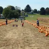 Walker Farm photo