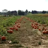 Walker Farm photo