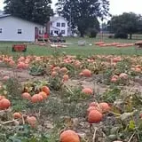 Walker Farm photo