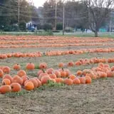 Walker Farm photo