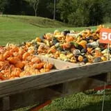 Walker Farm photo