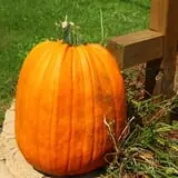 Walker Farm photo