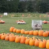 Walker Farm photo