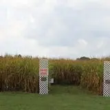 Walker Farm photo