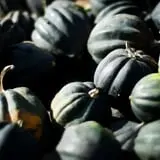 Schuett Farms photo