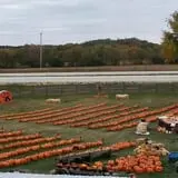 Schuett Farms photo