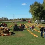 Schuett Farms photo
