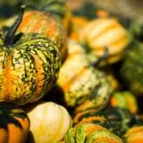 Schuett Farms photo