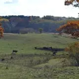 Schuett Farms photo
