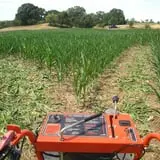Schuett Farms photo
