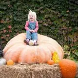Schuett Farms photo