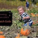 Schuett Farms photo