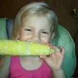 Schuett Farms photo