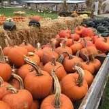 Schuett Farms photo