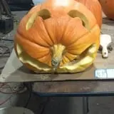 Schuett Farms photo