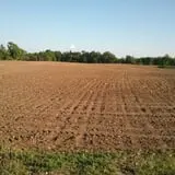 Schuett Farms photo