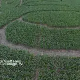 Schuett Farms photo