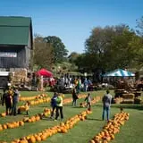 Schuett Farms photo