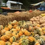Schuett Farms photo