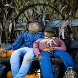 Schuett Farms photo