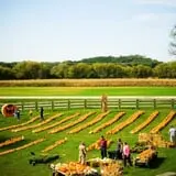 Schuett Farms photo