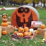 Schuett Farms photo