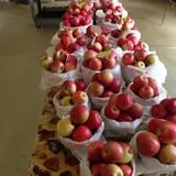 Klein Cider Mill and Market LLC photo