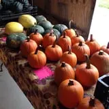 Klein Cider Mill and Market LLC photo