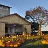 Klein Cider Mill and Market LLC photo