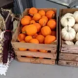 Klein Cider Mill and Market LLC photo