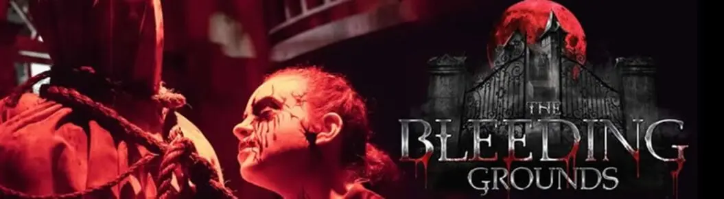 Brighton Asylum: The Bleeding Grounds