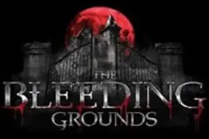 Brighton Asylum: The Bleeding Grounds