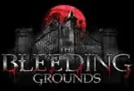 Brighton Asylum: The Bleeding Grounds