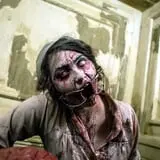 Brighton Asylum: The Bleeding Grounds photo