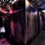Brighton Asylum: The Bleeding Grounds