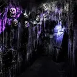Brighton Asylum: The Bleeding Grounds photo