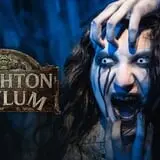 Brighton Asylum: The Bleeding Grounds photo