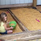 Country Pumpkins Pumpkin Patch & Fall Festival photo