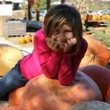 Country Pumpkins Pumpkin Patch & Fall Festival photo