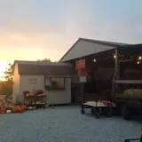 Country Pumpkins Pumpkin Patch & Fall Festival photo
