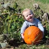 Country Pumpkins Pumpkin Patch & Fall Festival photo