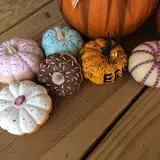 Country Pumpkins Pumpkin Patch & Fall Festival photo