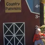 Country Pumpkins Pumpkin Patch & Fall Festival photo