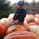 Country Pumpkins Pumpkin Patch & Fall Festival photo